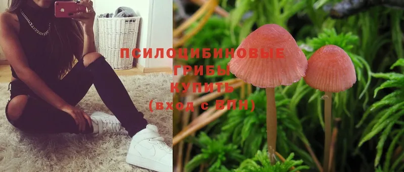 Галлюциногенные грибы Magic Shrooms  Никольское 